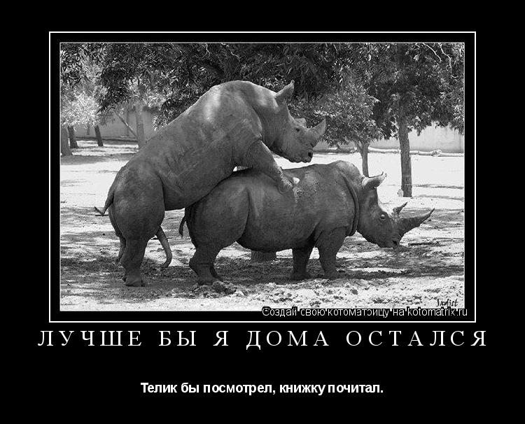 Котоматрица: Лучше бы я дома остался Телик бы посмотрел, книжку почитал.
