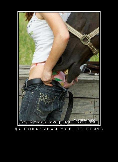 Котоматрица: да показывай уже, не прячь 