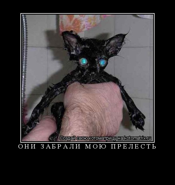 Котоматрица: Они забрали мою прелесть 