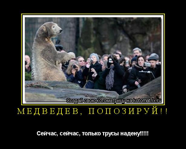 Медведев, попозируй!! Сейчас, сейчас, только трусы надену!!!!!... Котоматрица: Медведев, попозируй!! Сейчас, сейчас, только трусы надену!!!!!
