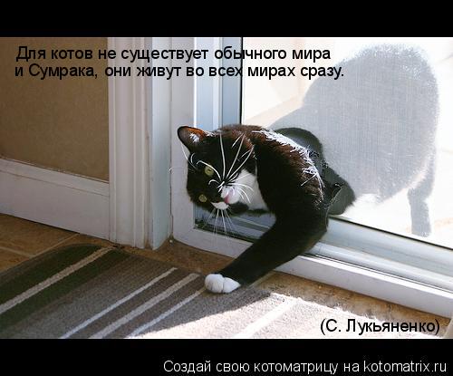 Для котов не существует обычного мира и Сумрака, они живут во всех мирах сразу… (С. Лукьяненко)... Котоматрица: Для котов не существует обычного мира и Сумрака, они живут во всех мирах сразу… (С. Лукьяненко)