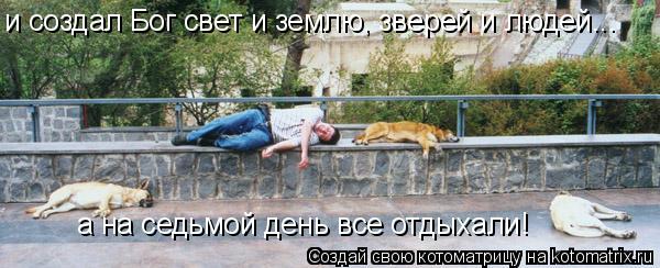 и создал Бог свет и землю, зверей и людей... а на седьмой день все отдыхали!... Котоматрица: и создал Бог свет и землю, зверей и людей... а на седьмой день все отдыхали!