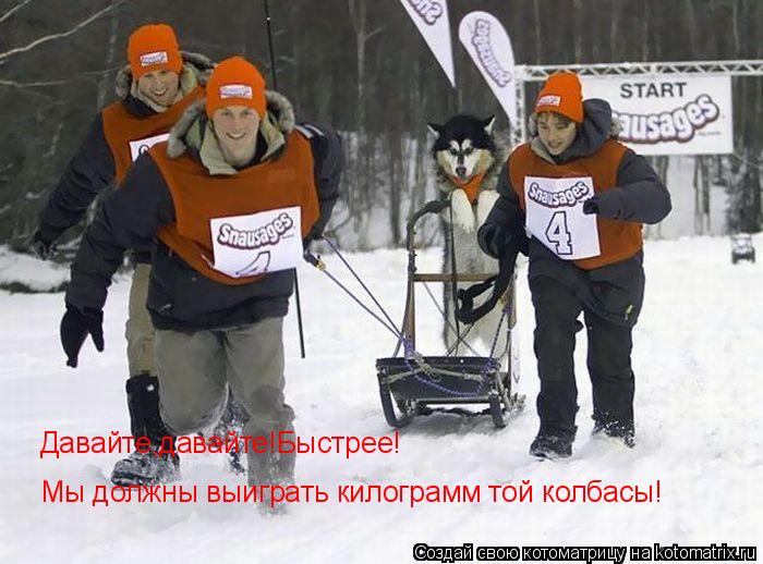 Давайте,давайте!Быстрее! Мы должны выиграть килограмм той колбасы!... Котоматрица: Давайте,давайте!Быстрее! Мы должны выиграть килограмм той колбасы!