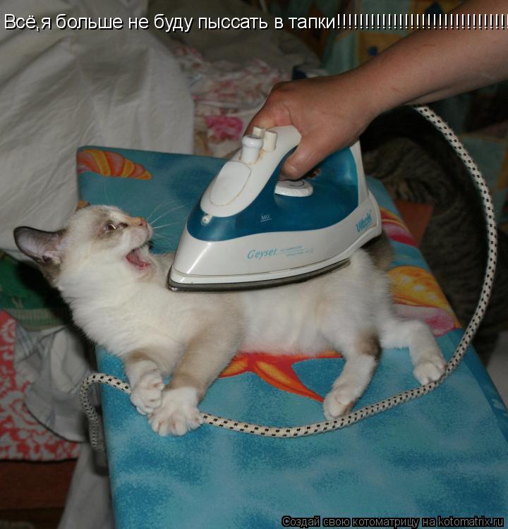 Всё,я больше не буду пыссать в тапки!!!!!!!!!!!!!!!!!!!!!!!!!!!!!!!!... Котоматрица: Всё,я больше не буду пыссать в тапки!!!!!!!!!!!!!!!!!!!!!!!!!!!!!!!!