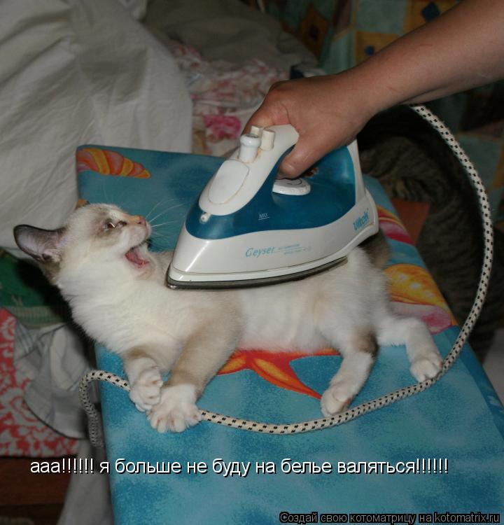 ааа!!!!!! я больше не буду на белье валяться!!!!!!... Котоматрица: ааа!!!!!! я больше не буду на белье валяться!!!!!!