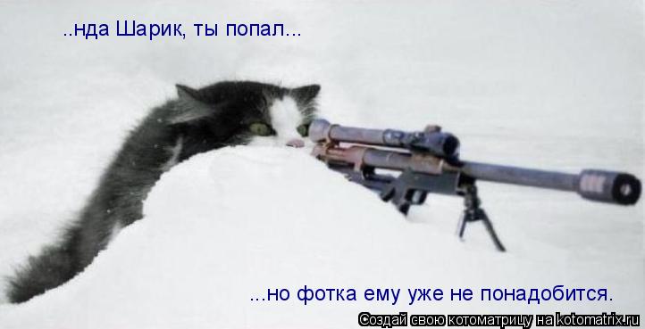 Котоматрица: ..нда Шарик, ты попал... ...но фотка ему уже не понадобится.