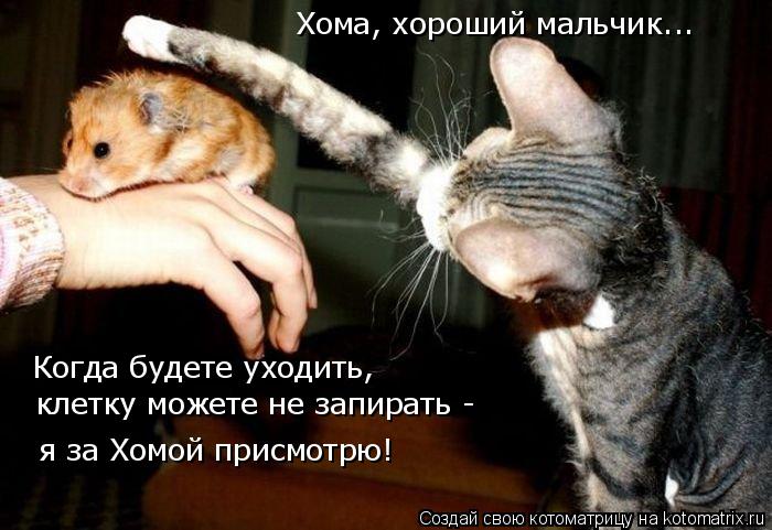 Котоматрица: Хома, хороший мальчик... Когда будете уходить, я за Хомой присмотрю! клетку можете не запирать -