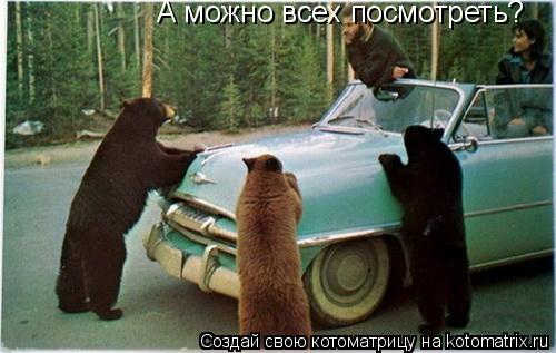 Котоматрица: А можно всех посмотреть?