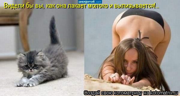 Видели бы вы, как она лакает молоко и вылизывается!..... Котоматрица: Видели бы вы, как она лакает молоко и вылизывается!..