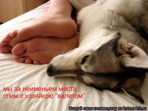 мы за неименьем места спим с хозяйкою "валетом"... Котоматрица: мы за неименьем места спим с хозяйкою "валетом"