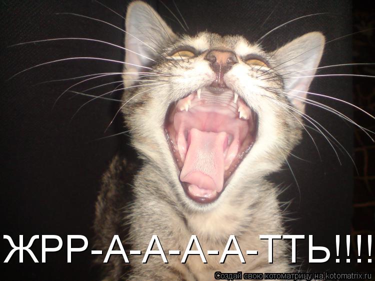 ЖРР-А-А-А-А-ТТЬ!!!!... Котоматрица: ЖРР-А-А-А-А-ТТЬ!!!!