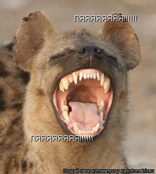 ЛЯЯЯЯЯЯЯЯ!!!!!! ЛЯЯЯЯЯЯЯЯ!!!!!!... Котоматрица: ЛЯЯЯЯЯЯЯЯ!!!!!! ЛЯЯЯЯЯЯЯЯ!!!!!!