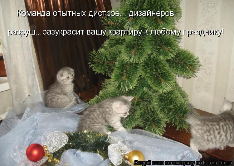 Команда опытных дистрое... дизайнеров разруш...разукрасит вашу квартиру к любому празднику!... Котоматрица: Команда опытных дистрое... дизайнеров разруш...разукрасит вашу квартиру к любому празднику!
