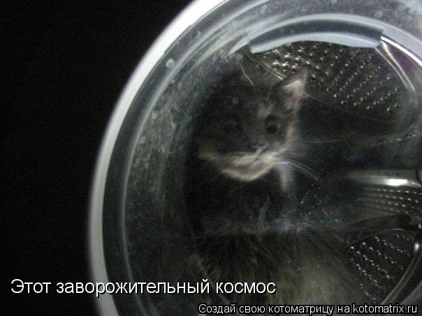 Этот заворожительный космос... Котоматрица: Этот заворожительный космос