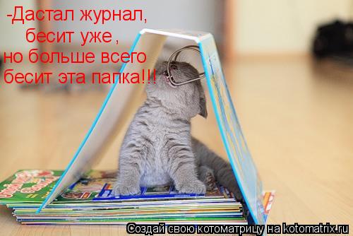 -Дастал журнал, бесит уже , но больше всего бесит эта папка!!!... Котоматрица: -Дастал журнал, бесит уже , но больше всего бесит эта папка!!!