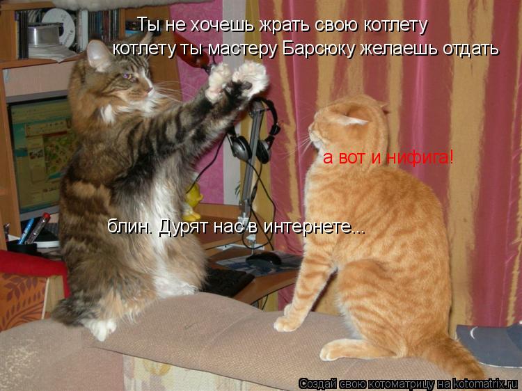 Ты не хочешь жрать свою котлету котлету ты мастеру Барсюку желаешь отдать а вот и нифига! блин. Дурят... Котоматрица: Ты не хочешь жрать свою котлету котлету ты мастеру Барсюку желаешь отдать а вот и нифига! блин. Дурят нас в интернете...