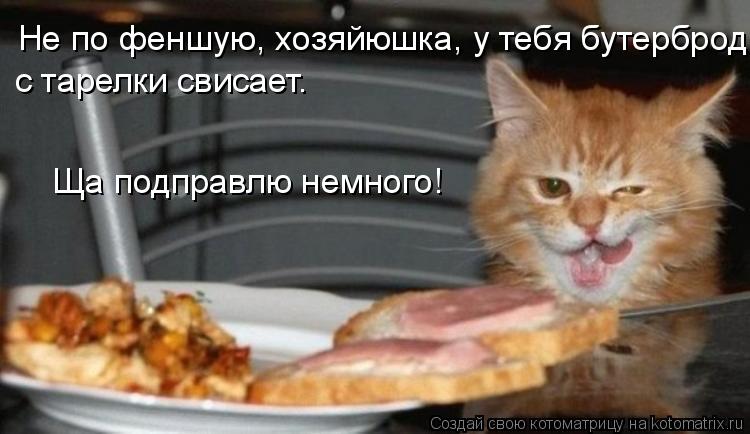 Не по феншую, хозяйюшка, у тебя бутерброд с тарелки свисает. Ща подправлю немного!... Котоматрица: Не по феншую, хозяйюшка, у тебя бутерброд с тарелки свисает. Ща подправлю немного!