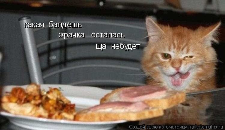 какая балдёшь жрачка осталась ща небудет... Котоматрица: какая балдёшь жрачка осталась ща небудет