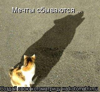 Котоматрица: Мечты сбываются ...