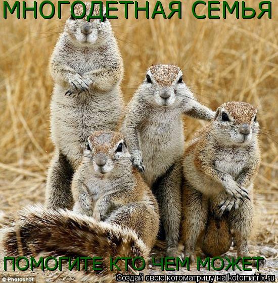 Котоматрица: МНОГОДЕТНАЯ СЕМЬЯ ПОМОГИТЕ КТО ЧЕМ МОЖЕТ