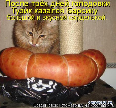 После трёх дней голодовки Тузик казался Барсику большой и вкусной сарделькой.... Котоматрица: После трёх дней голодовки Тузик казался Барсику большой и вкусной сарделькой.