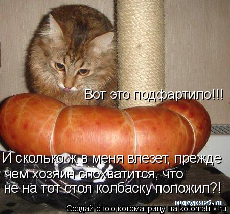 Котоматрица: чем хозяин спохватится, что  не на тот стол колбаску положил?! Вот это подфартило!!! И сколько ж в меня влезет, прежде