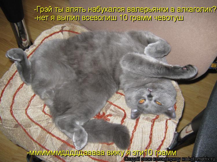 Котоматрица: -Грэй ты апять набухался валерьянки а алкаголик? -нет я выпил всеволиш 10 грамм чевотуш -ммммммдддддааааа вижу я эти10 грамм