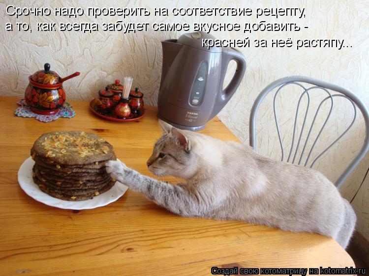 Срочно надо проверить на соответствие рецепту, а то, как всегда забудет самое вкусное добавить - крас... Котоматрица: Срочно надо проверить на соответствие рецепту, а то, как всегда забудет самое вкусное добавить - красней за неё растяпу...