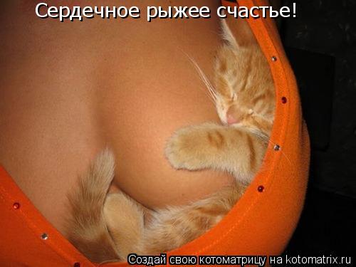 Сердечное рыжее счастье!... Котоматрица: Сердечное рыжее счастье!