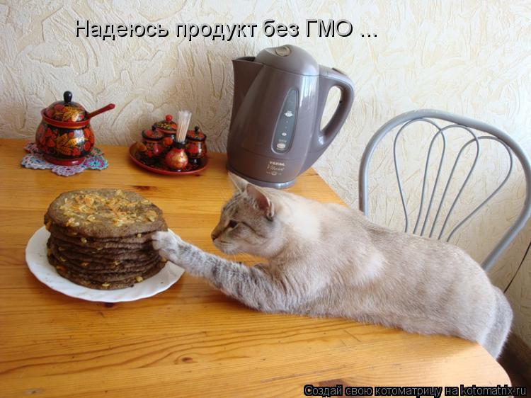 Надеюсь продукт без ГМО ...... Котоматрица: Надеюсь продукт без ГМО ...