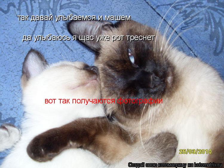 так давай улыбаемся и машем да улыбаюсь я щас уже рот треснет вот так получаются фотографии... Котоматрица: так давай улыбаемся и машем да улыбаюсь я щас уже рот треснет вот так получаются фотографии