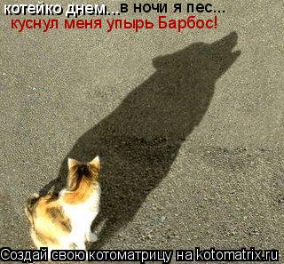 котейко днем... в ночи я пес... куснул меня упырь Барбос!... Котоматрица: котейко днем... в ночи я пес... куснул меня упырь Барбос!