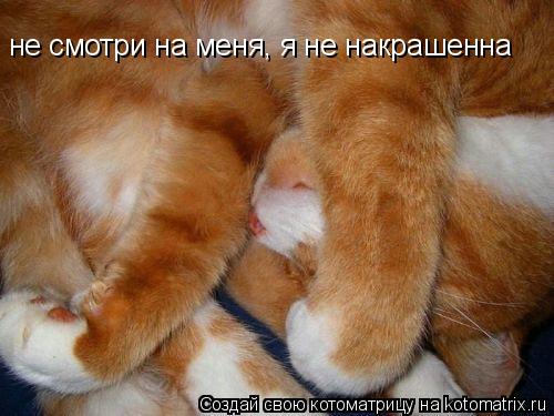 не смотри на меня, я не накрашенна... Котоматрица: не смотри на меня, я не накрашенна
