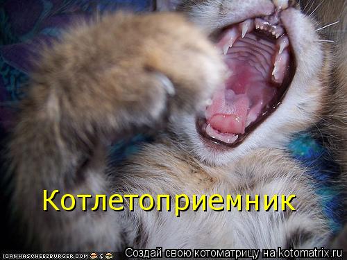 Котлетоприемник... Котоматрица: Котлетоприемник