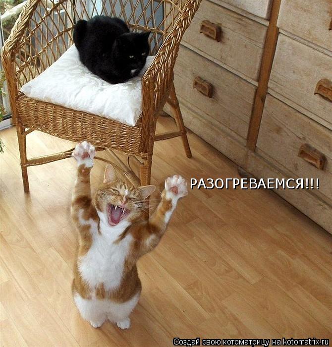 РАЗОГРЕВАЕМСЯ!!!... Котоматрица: РАЗОГРЕВАЕМСЯ!!!