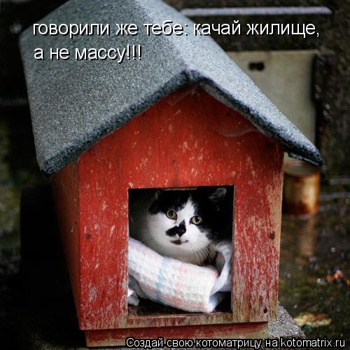 говорили же тебе: качай жилище, а не массу!!!... Котоматрица: говорили же тебе: качай жилище, а не массу!!!