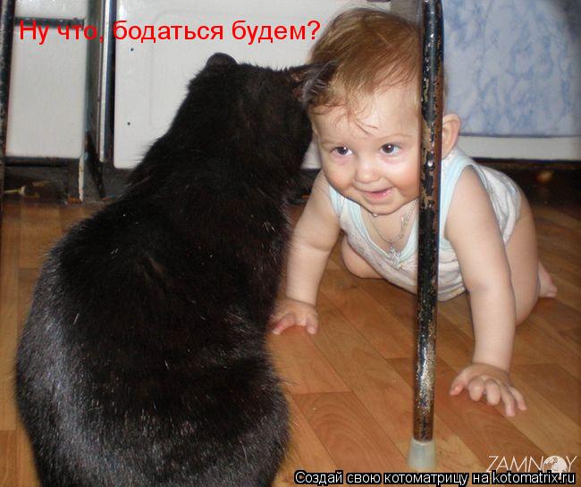 Ну что, бодаться будем?... Котоматрица: Ну что, бодаться будем?
