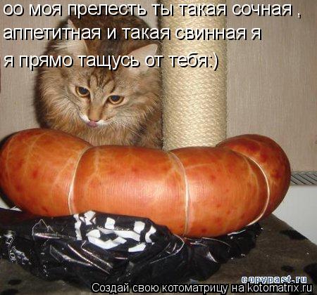 оо моя прелесть ты такая сочная , аппетитная и такая свинная я я прямо тащусь от тебя:)... Котоматрица: оо моя прелесть ты такая сочная , аппетитная и такая свинная я я прямо тащусь от тебя:)