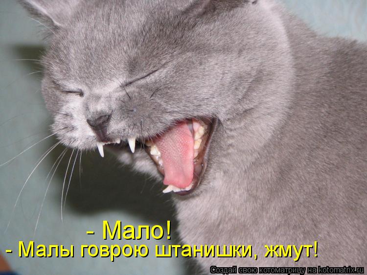 - Мало! - Малы говрою штанишки, жмут!... Котоматрица: - Мало! - Малы говрою штанишки, жмут!