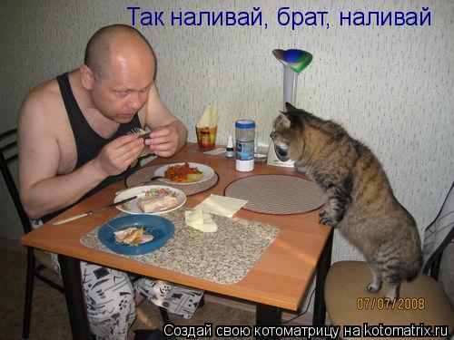 Так наливай, брат, наливай... Котоматрица: Так наливай, брат, наливай