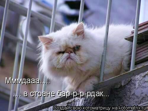 Мммдааа..... .... в стране бар-р-р-рдак...... Котоматрица: Мммдааа..... .... в стране бар-р-р-рдак...