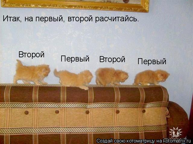 Итак, на первый, второй расчитайсь. Первый Второй Первый Второй... Котоматрица: Итак, на первый, второй расчитайсь. Первый Второй Первый Второй