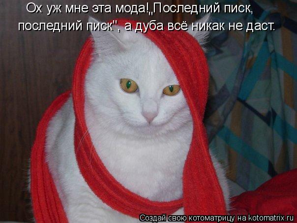 Ох уж мне эта мода! Последний писк, последний писк", а дуба всё никак не даст. "... Котоматрица: Ох уж мне эта мода! Последний писк, последний писк", а дуба всё никак не даст. "