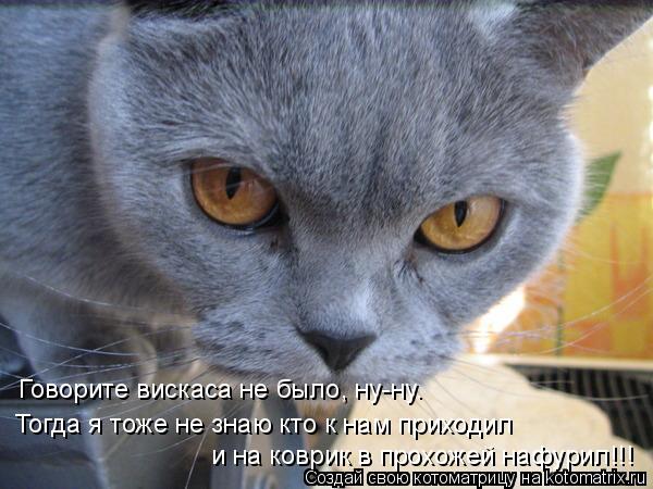 Говорите вискаса не было, ну-ну. Тогда я тоже не знаю кто к нам приходил и на коврик в прохожей нафур... Котоматрица: Говорите вискаса не было, ну-ну. Тогда я тоже не знаю кто к нам приходил и на коврик в прохожей нафурил!!!