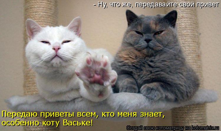 - Ну, что же, передавайте свой привет Передаю приветы всем, кто меня знает, особенно коту Ваське!... Котоматрица: - Ну, что же, передавайте свой привет Передаю приветы всем, кто меня знает, особенно коту Ваське!