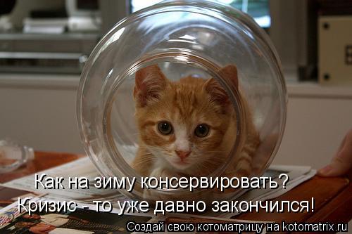 Как на зиму консервировать? Кризис - то уже давно закончился!... Котоматрица: Как на зиму консервировать? Кризис - то уже давно закончился!