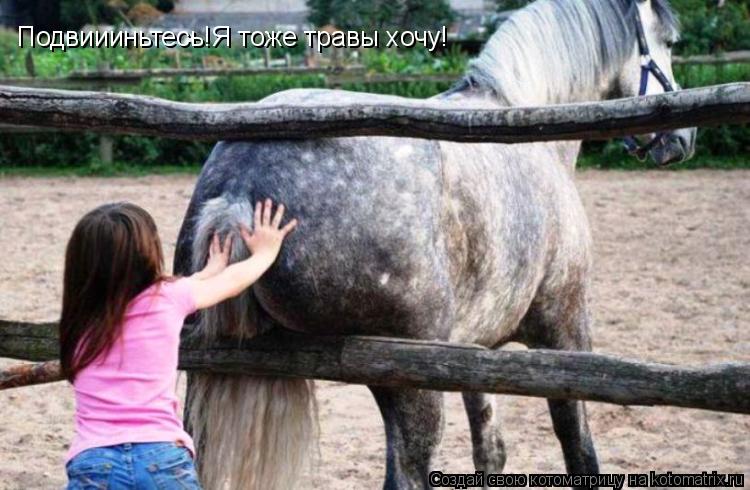 Подвиииньтесь!Я тоже травы хочу!... Котоматрица: Подвиииньтесь!Я тоже травы хочу!
