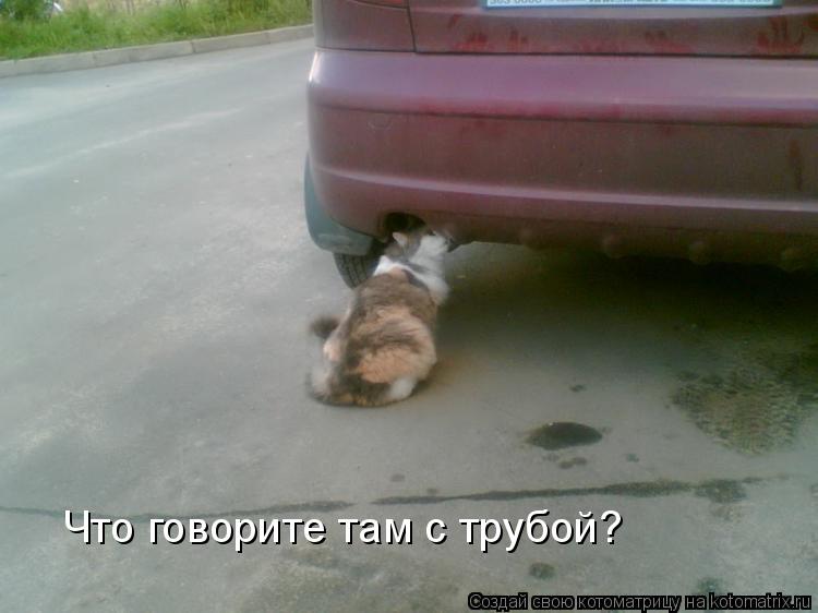 Что говорите там с трубой?... Котоматрица: Что говорите там с трубой?