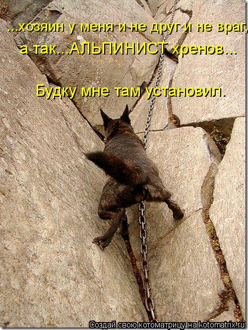 Котоматрица: ...хозяин у меня и не друг и не враг, а так...АЛЬПИНИСТ хренов... Будку мне там установил.