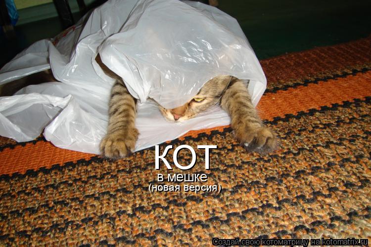 КОТ в мешке (новая версия)... Котоматрица: КОТ в мешке (новая версия)